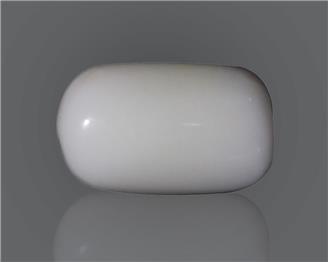 Natural White Coral  15.69 CTS (50169)